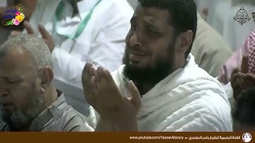 تلاوة ممتعة لسورة السجدة بصوت الشيخ ياسر سلامة