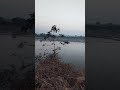 Day 10: 8th March 2026 Morning 8:02 am, Narmada Parikrama 12 Video 2026 03 08 at 08 02 50