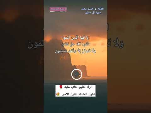 السيد سعيد سورة آل عمران