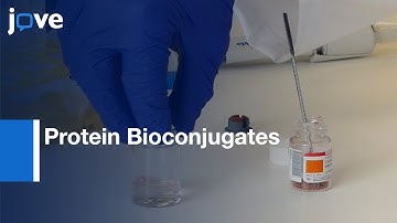 Synthesis: Protein Bioconjugates Via Cysteine-Maleimide Chemistry l Protocol Preview