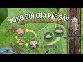 rệp sáp- mealybugs
