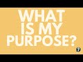 Asking For a Friend - What Is My Purpose?