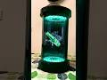Alcohol brands branding and promotion on hologram tube. Bangalore, delhi, kolkata. Products display