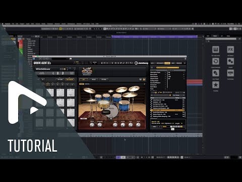 New Music Production