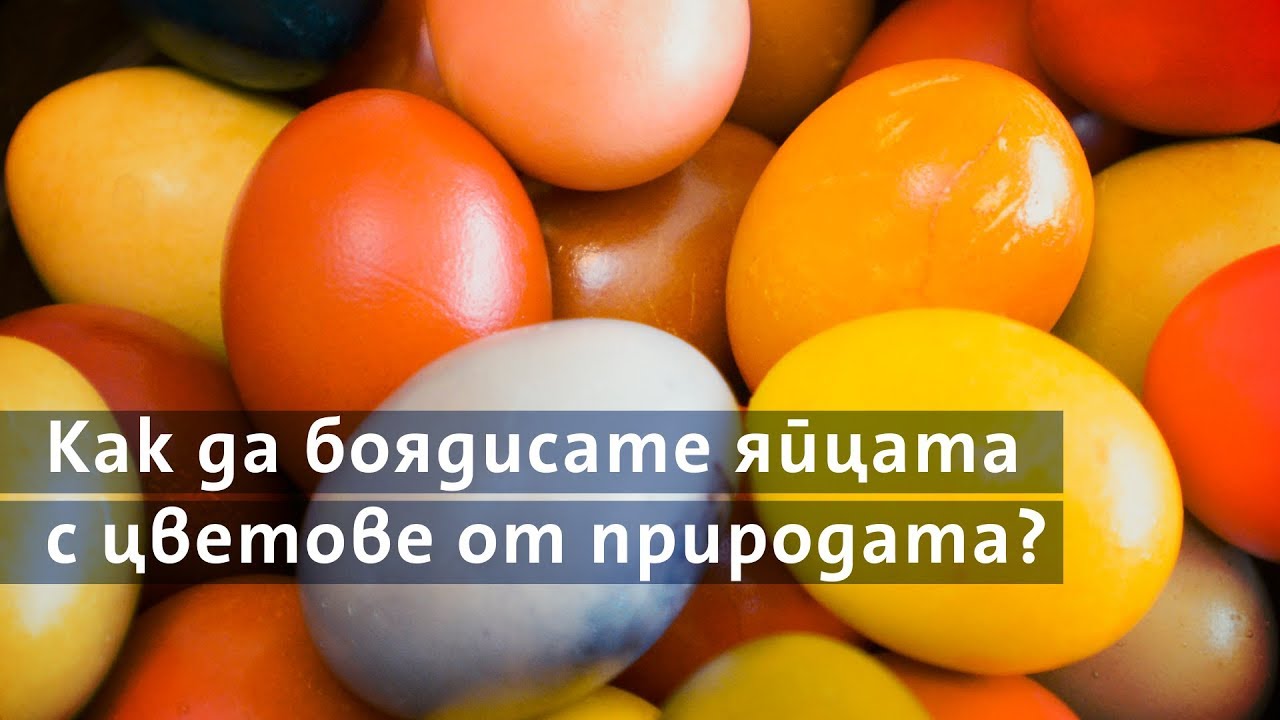 Как да боядисате яйцата с цветове от природата