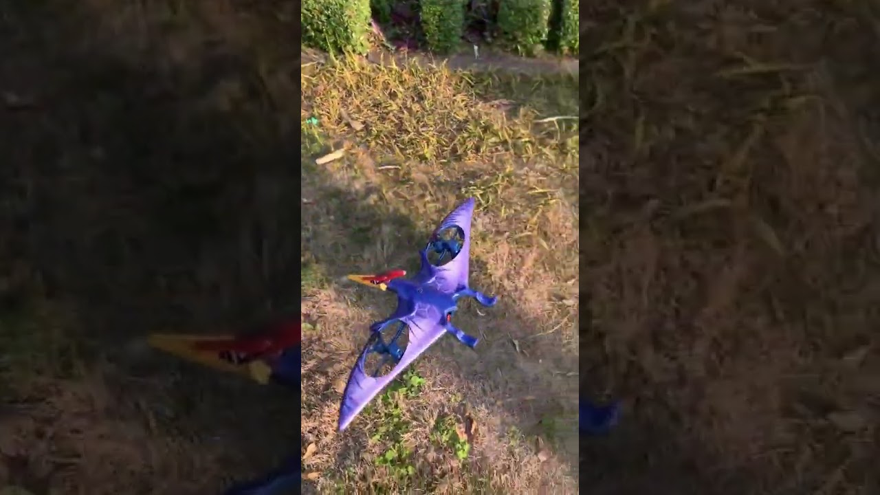 Hendee 2202 Remote control pterosaur toys 