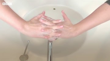 How to wash your hands thoroughly to prevent the spread of CoVid-19 - BBC Media Action