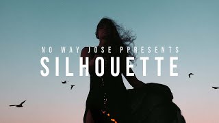 52 week photo challenge - silhouette #shorts 52 week photo challenge - silhouette #shorts