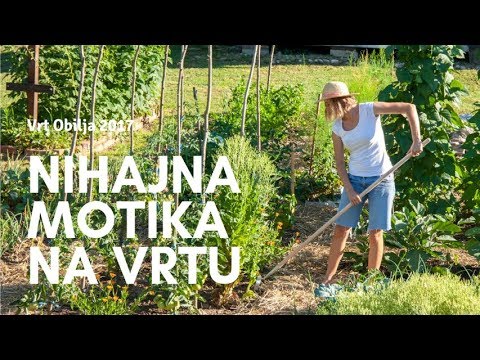 Video: Kateri pridelki se gojijo v zimski sezoni?