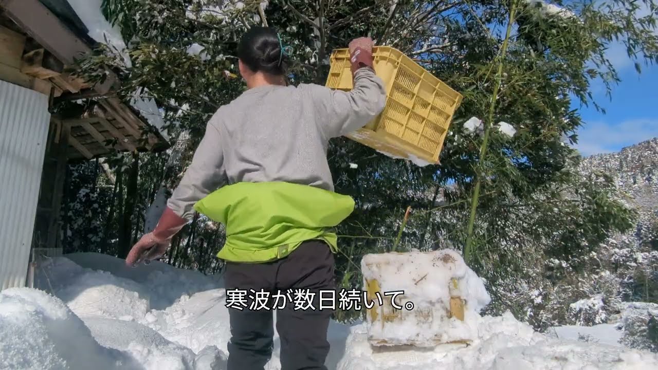 【雪山暮らし】日課は除雪と笹とり