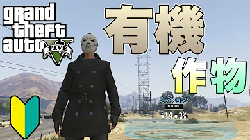 グラセフps3限定