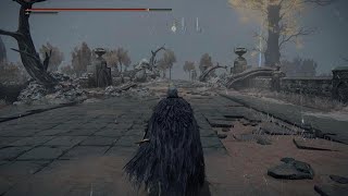 Elden Ring Dash Back Atk