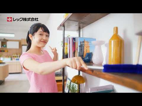 【現貨】🔥🔥【日本直送《LEC》激落君附收納盒伸縮除塵刷】黑色 | 不鏽鋼