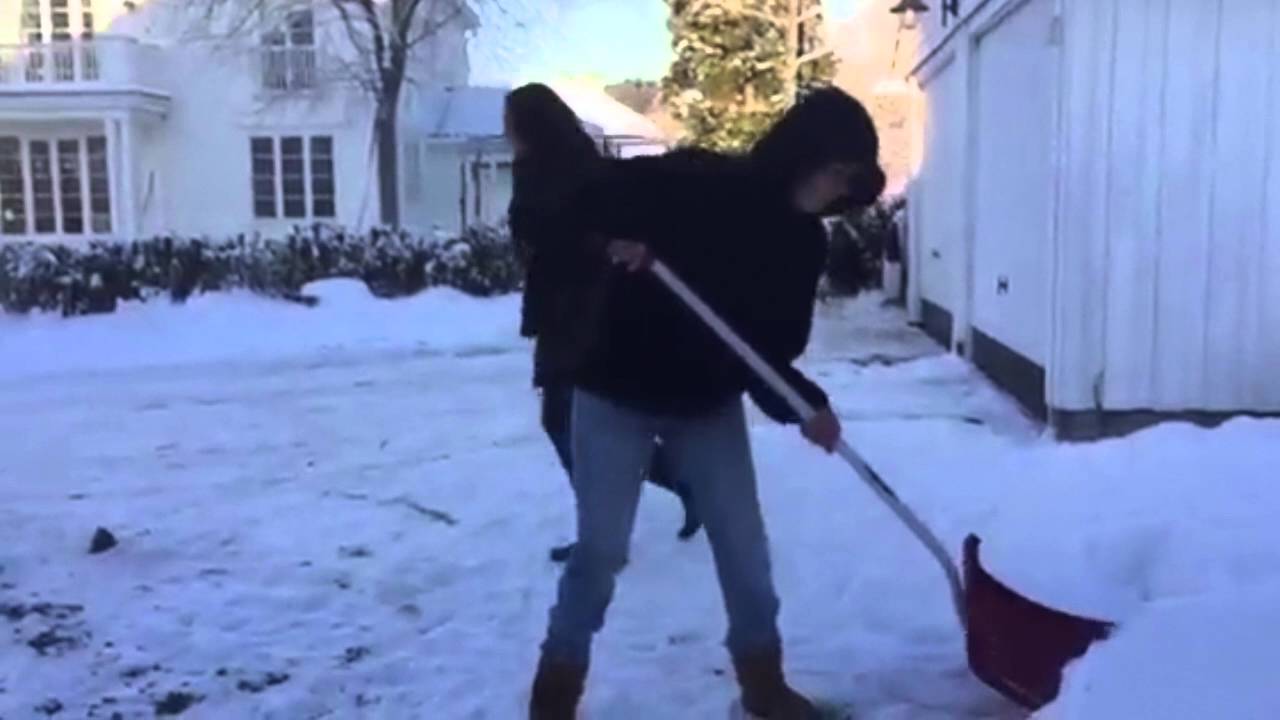 Kortfilm - Fugletribunalet