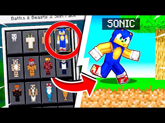 Campestral's Minecraft Skins — How to watermark your Minecraft skin!  Protect your