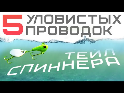 Видео: Най-популярната риболовна примамка