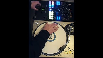 Scratching Day 34.  chirps and a white record