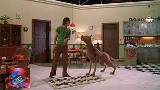 Chinna bomb periya bomb competition scooby tamil