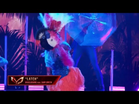 Exotic Bird Dances To "Latch" By Disclosure Feat. Sam Smith | Masked Dancer | S1 S4