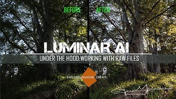 Luminar AI working with RAW files