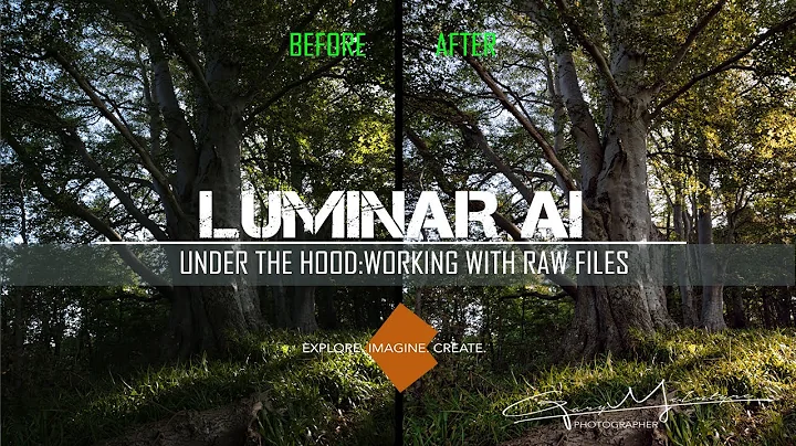 Luminar AI: Làm việc với Tập Tin RAW