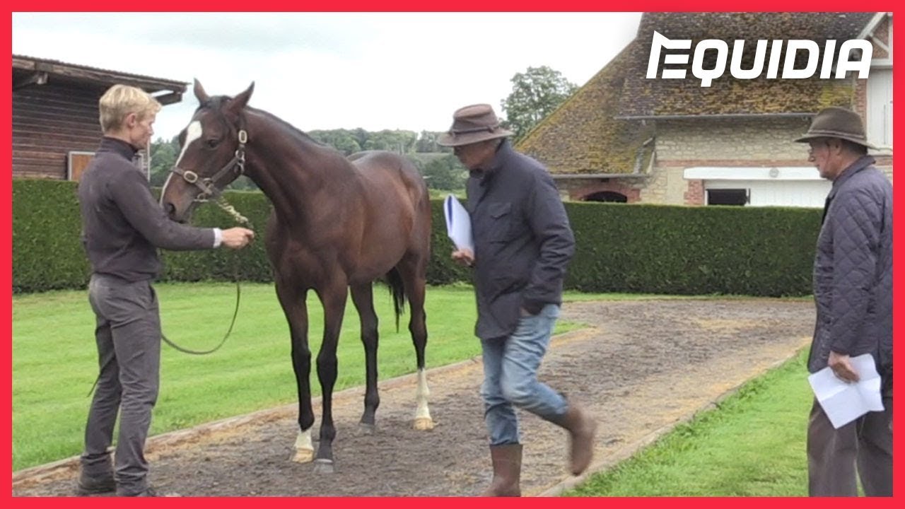 LES JUGES DÉCIDENT DE L'AVENIR DE NOTRE POULAIN... | Objectif Course #24