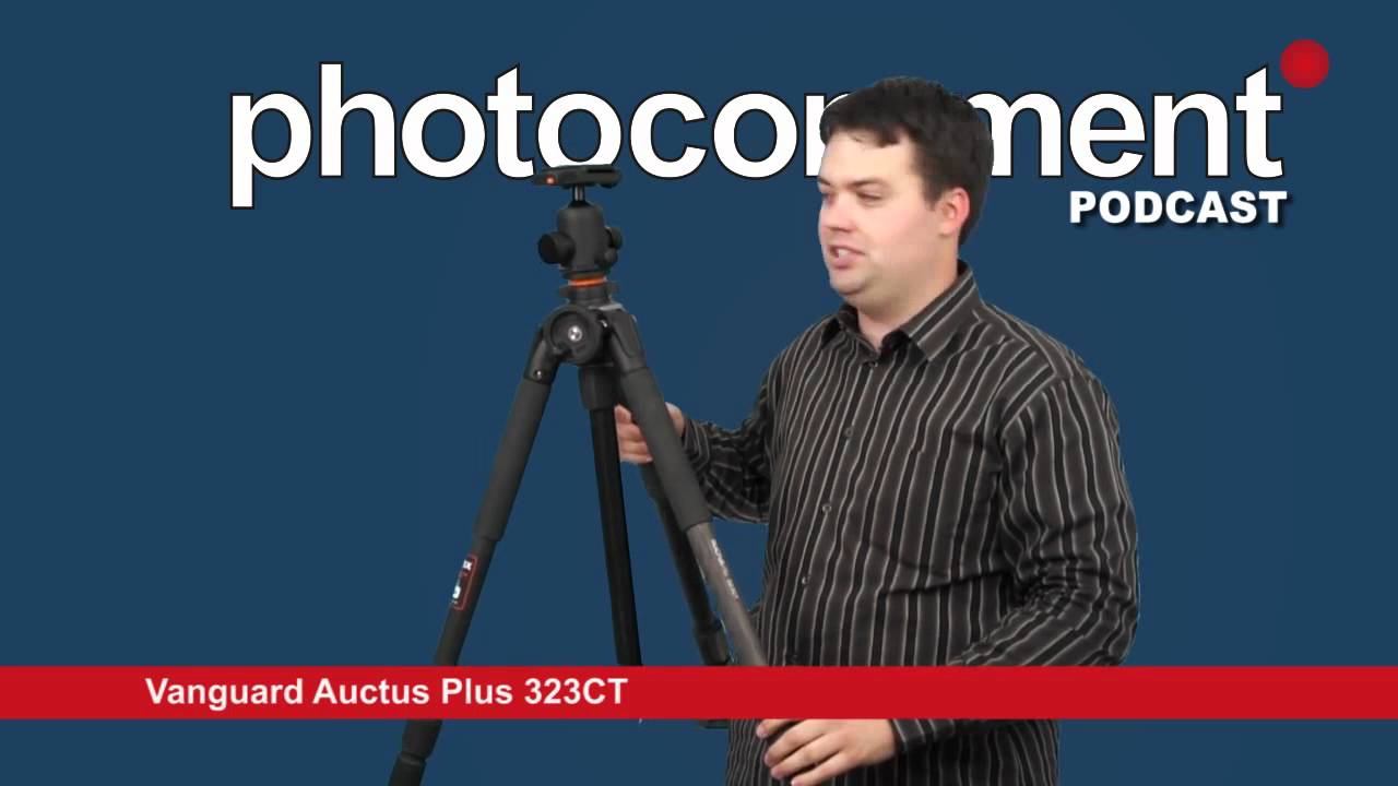 Auctus117