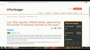 Port Swigger LAB-1 =) SQL INJECTION