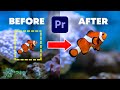 How To Zoom In And Out in Premiere Pro