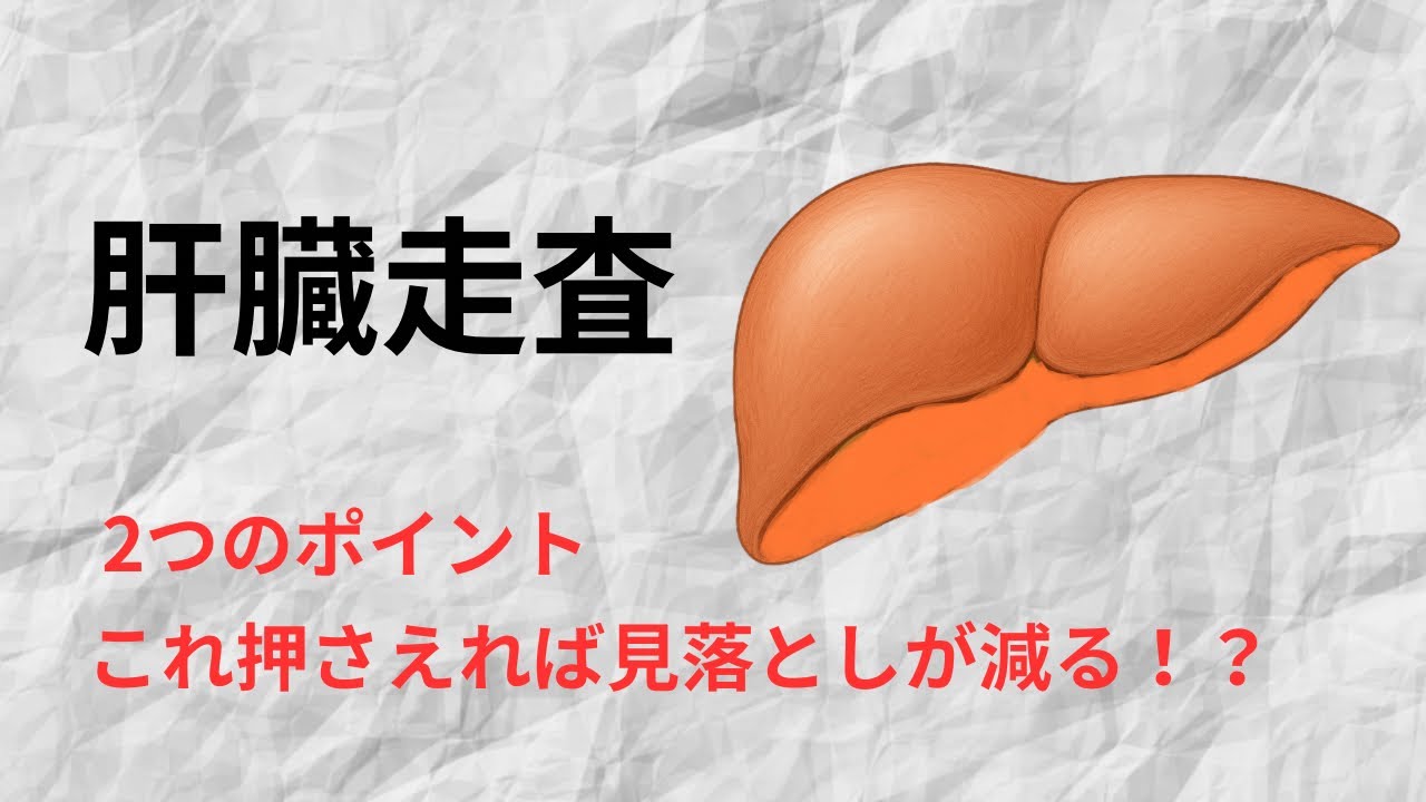  【超音波検査】描出のプロが教える肝臓走査！分かりにくい区域もこれ見るだけでOK！？　part1