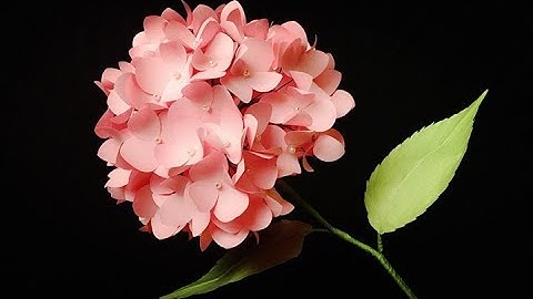 ABC TV | How To Make Hydrangea Paper Flower From Shape Punch - Craft Tutorial