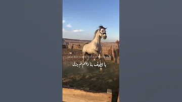 دع لذيذ الكرى وانتبه ثم صل اناشيد دينيه اسلاميه رائعة بدون موسيقى 