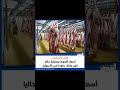 نقيب الجزارين أسعار اللحوم مستقرة حاليا لكن هناك ركودا في الأسواق 