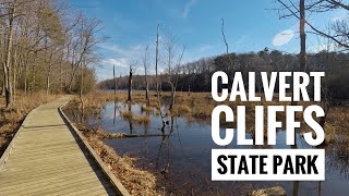 Calvert Cliffs State Park
