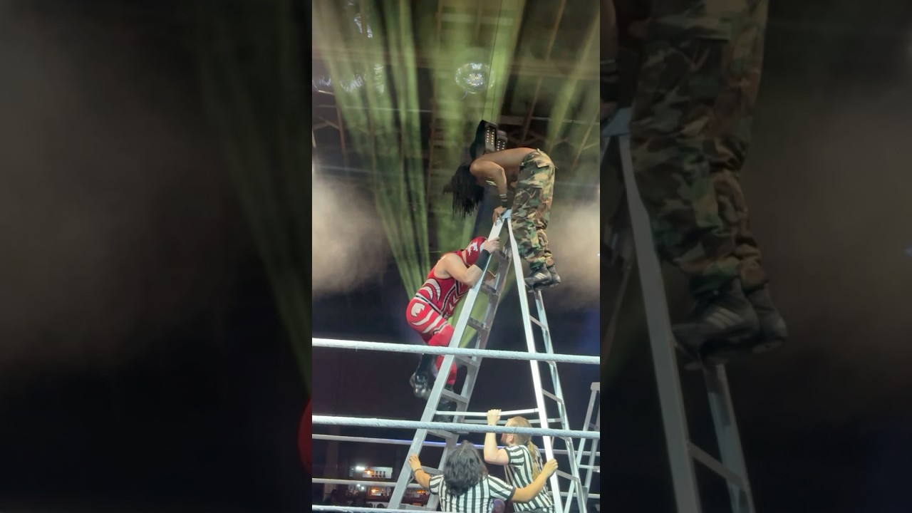 Ladder Match 