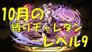 【パズドラ】10月の縛りチャレダンレベル9　大大大苦戦の回復なし。軽減リーダーハクちゃんでがんばる。