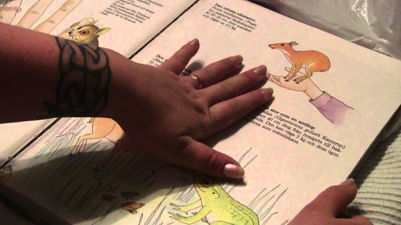 Show and Tell Swedish whisper ASMR