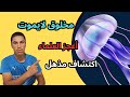 الكائن الذي يستطيع العيش الى الأبد قنديل البحر الخالد 