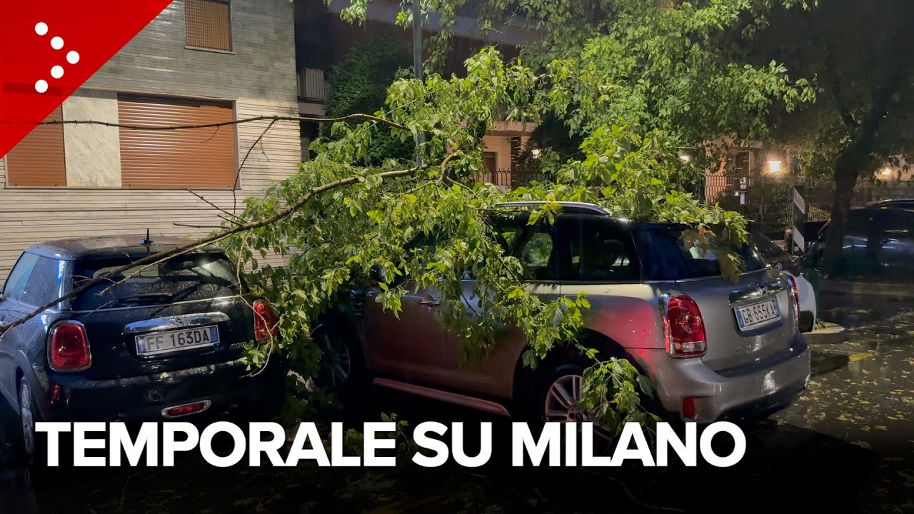 Temporale si abbatte su Milano, rami cadono sulle auto in strada. Residente: 