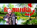 Гармонь шуйская Чайка 3 х голосая Ля мажор ПРОДАНА Гармонь шуйская Чайка 3 х голосая Ля мажор ПРОДАНА