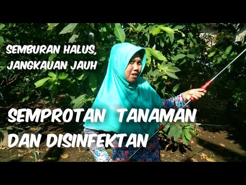 Video: Luffel - Petunjuk Penggunaan Semprotan, Ulasan, Harga, Analog