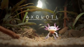 Hundreds of newly born Axolotl babies are placed together?It Happened!