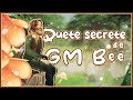 Sso la quete secrte de gm bee  