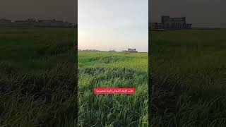 حلب الريف الشمالي قرية الحميدية اخترين