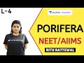 L4: Porifera | Animal Kingdom | Pre-medical - NEET/AIIMS | Ritu Rattewal