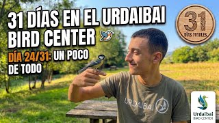 Un poco de todo - Día 24/31 en el Urdaibai Bird Center screenshot 5