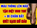 Không Ngờ ĐI CHÂN ĐẤT Chính là Bí Quyết Giúp MÁU HUYẾT LƯU THÔNG, TẬN DIỆT UNG THƯ, Càng Đi Càng Thọ