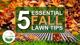 🍁 5 Essential Tips for Fall Lawn Care 🍂