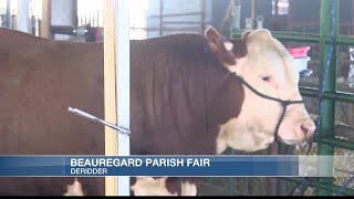 94th annual Beauregard Parish Fair jam-packed with festivities