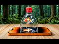 Turn Your Phone into a 3D Hologram Projector! Few People Know This Secret  | Creation Hack